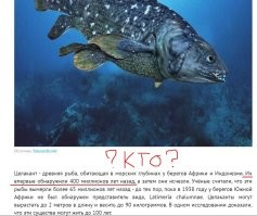 Обнаружил КОГДА ?? %))