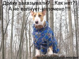 Необычные услуги появились на Авито: доедальщики салатов и собутыльницы