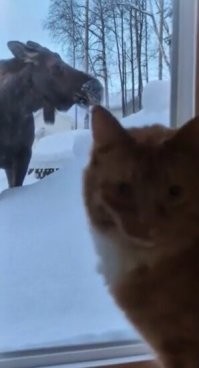 А чего я, чего? Я и сам оху..., офигел!