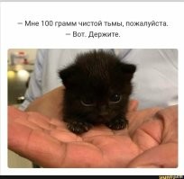 15+ чёрных котиков, которые вызовут улыбку