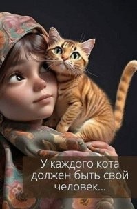 Котёнок залез погреться в тёплую машину