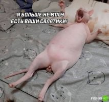 йопте... теперь понятно, как я выгляжу в глазах своей девушки... фууууу. Голым больше не буду лежать.