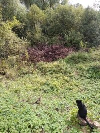 есть у мене такое)