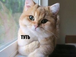 Просто гифки, всякие и&nbsp;разные