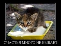 Жительница Индии была замужем за четырьмя мужчинами одновременно