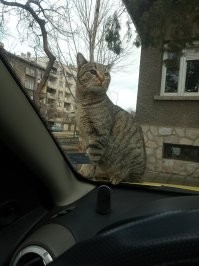 У меня тоже такой гост пришел вчера