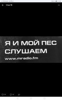 Мой пёс до стола не достаёт!