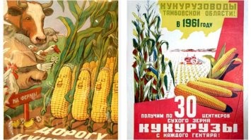 Массовая истерия на 1 млрд человек. В Китае за неуважение к манго еще не так давно могли расстрелять