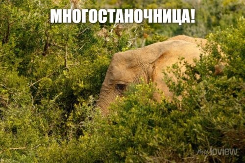 Жительница Индии была замужем за четырьмя мужчинами одновременно