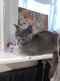 естественное омолаживающее средство моей семьи...