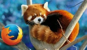 Все таки лисичка, а firefox - красная панда