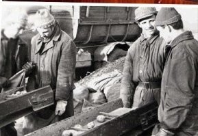 Картошка!!!
Романтика и девушки.