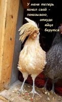 Из жо..пы конечно