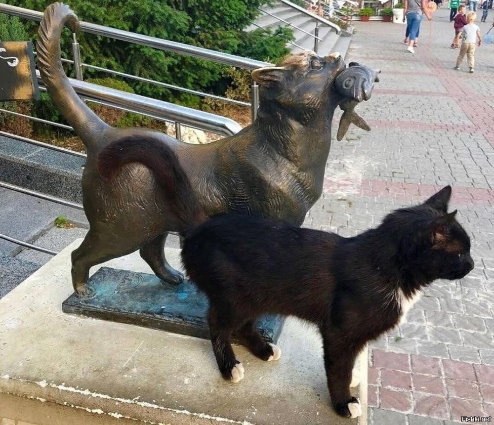 Удачные фото котиков на фоне скульптур и статуй
