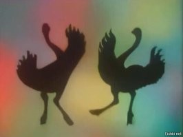 В Москве поймали автоблогеров, устроивших «гонки с фейерверками»