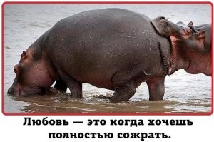 Вот такая странная любовь. ))