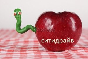 Без ДТП. Сказочные олени на каршеринге