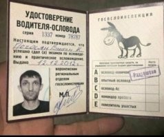 да они задолбали...ословоды