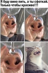 Пересел на автомат? Прочувствуешь этот пост. Всё о привычках