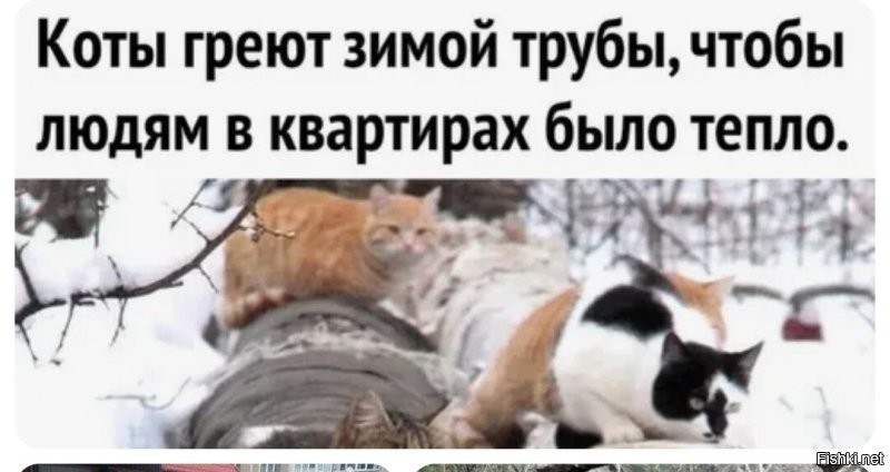 «Я, честно говоря, никуда не собираюсь»: губернатор Подмосковья встретился с жителями Подольска и объяснил причины коммунального коллапса