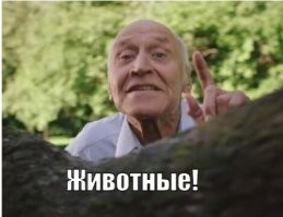 Где там мой любимый Николай Николаич?