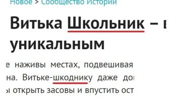 Так школьник или шкодник?