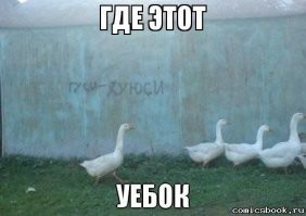 Грациозный гусь на льду