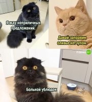 Блин!!!
А ведь теперь попробую же так сделать!