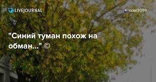 потому что   :