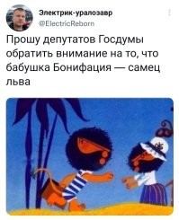 Половой диморфизм: несколько интересных примеров различий между полами в природе