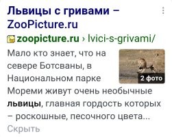 Половой диморфизм: несколько интересных примеров различий между полами в природе