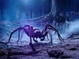 а этот разве не из Австралии?