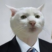 Тест по русскому языку, который легко пройдут школьники
