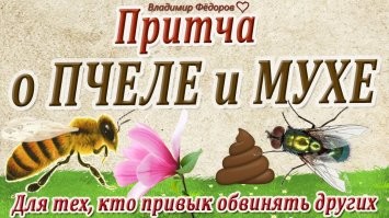 "кругом говноговноговно", да?