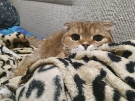 Моё чудо=)