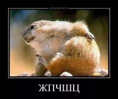 В любой непонятной ситуации надо почесаться