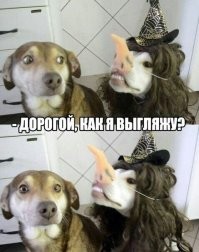 Скрины из соцсетей&nbsp;