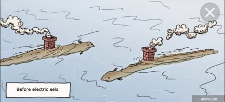 Не влезай – убьёт: рыба на 800 вольт, которую ловят при помощи коров