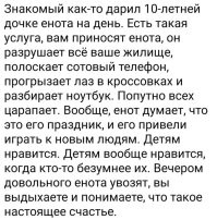 Мальчик нашёл себе нового друга