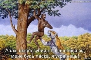 Скрины из соцсетей&nbsp;