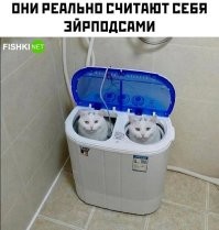 КОТОПОДСы