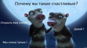 Почему панды такие добрые и дурашливые?