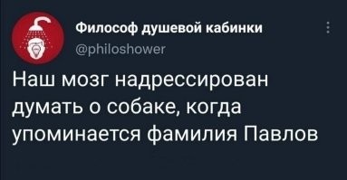 Мой думает о разгроме ЗОВО и сдаче Минска в 1941