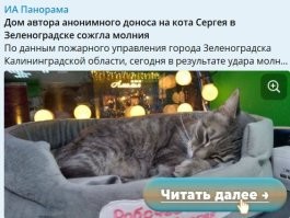 Справедливость восторжествовала.