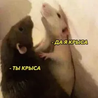 Когда рассказал другу, что тебе нравится его бывшая