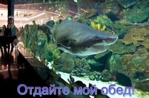 Голый неадекват прыгнул в аквариум в торговом центре