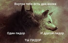 Береги себя, ты редкий идиот