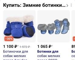А всего делов-то было, купить шмопсу ботинки. 
Ну и одеть в тёплое. 
И пусть бы парень гулял с ним, сколько хотел.