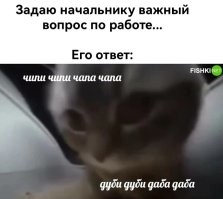 Вы работу работали?
 Сегодня это так...
