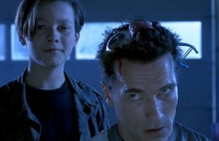 Вот так выглядит ухо совы